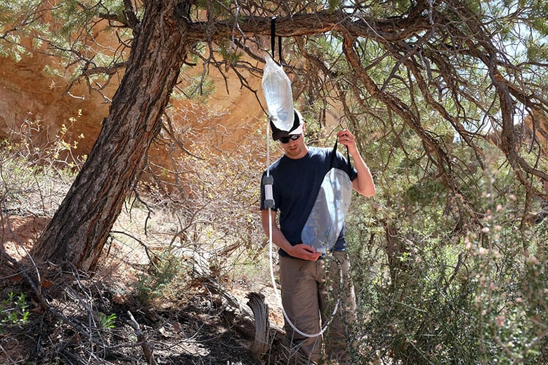 a man installing Platypus Water Filter on a tree