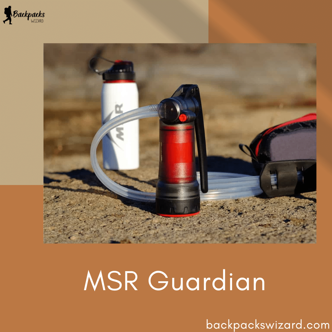 MSR Guardian