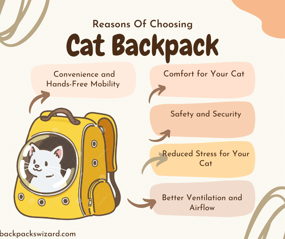 reasons of choosing a cat backpack